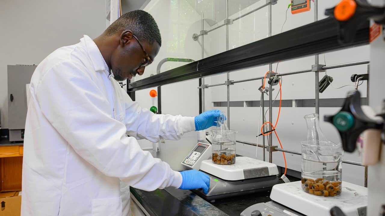 man testing a wood sample in a lab